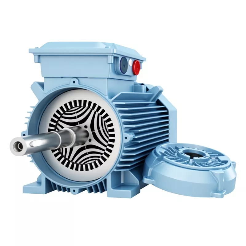 IP65 Maqnitsiz Sinxron Motor